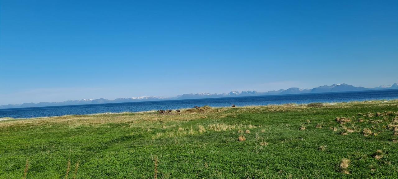 Solheim Guesthouse Dverberg Kültér fotó